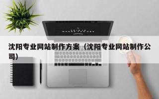 聊城沈阳专业网站制作方案（沈阳专业网站制作公司）